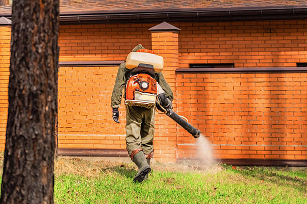 Trusted Termite Control service in Glenns Ferry, ID - Nex Pest Control